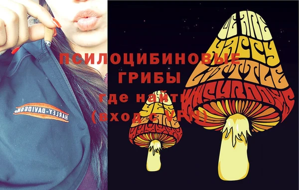 гидра Абдулино