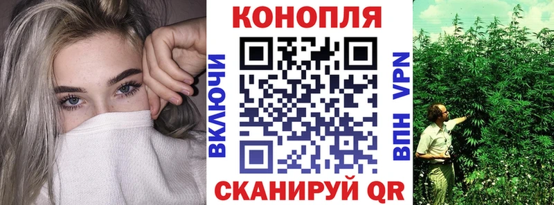 Шишки марихуана White Widow  сколько стоит  ссылка на мегу онион  Моршанск 